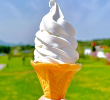 畑野牧場：濃厚ジャージーソフトクリーム…600円