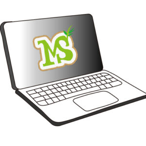 2025年3月～2025年9月